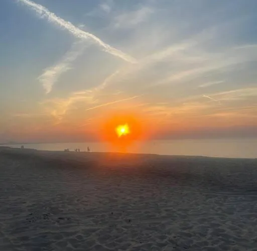 Serenity On The Shores
